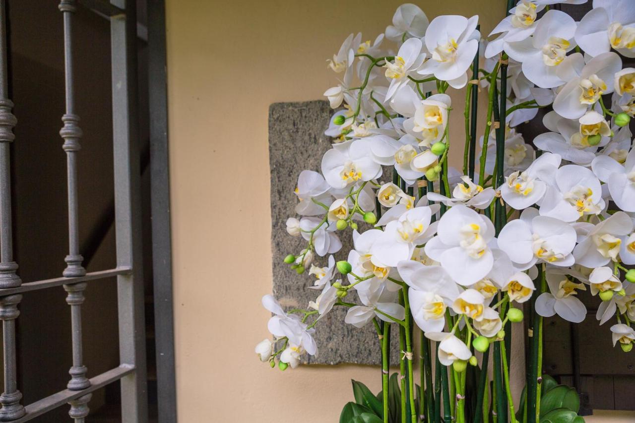 Il Basin Bed & Breakfast Calliano  Luaran gambar